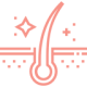 hair-follicle